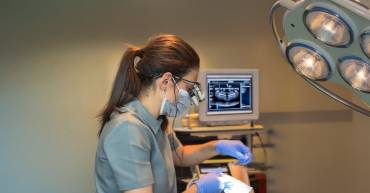 Endodonti Nedir?